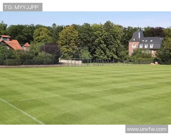 德甲球队海外拉练全景揭秘行程安排与训练亮点解析